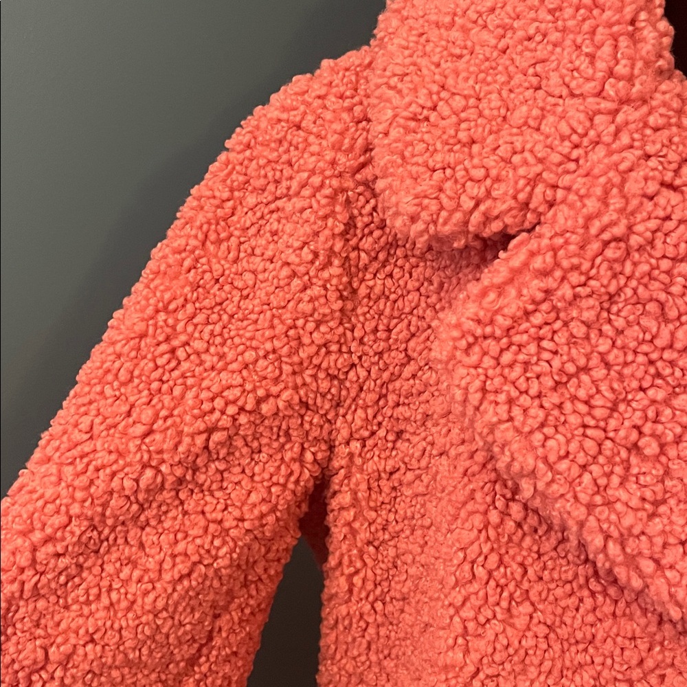 J Crew Pink Double-breasted Teddy Sherpa Topcoat Size Medium - Picture 6 of 16